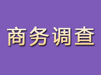 高台商务调查